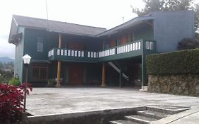 Villa New Massa 1